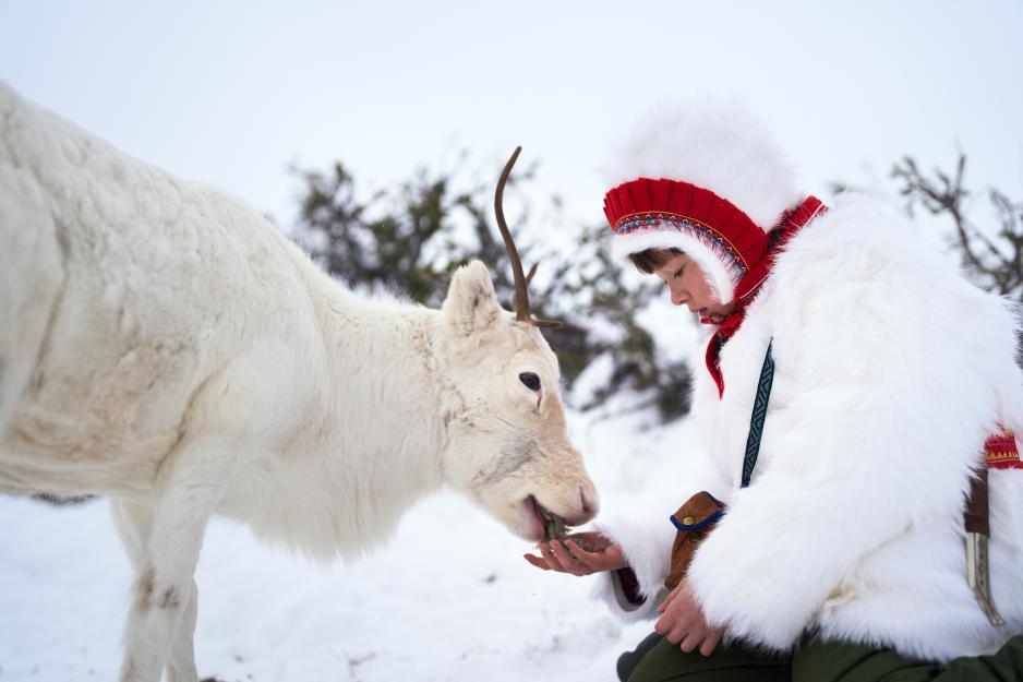 Xxx malinalar rekordlar oynadi
